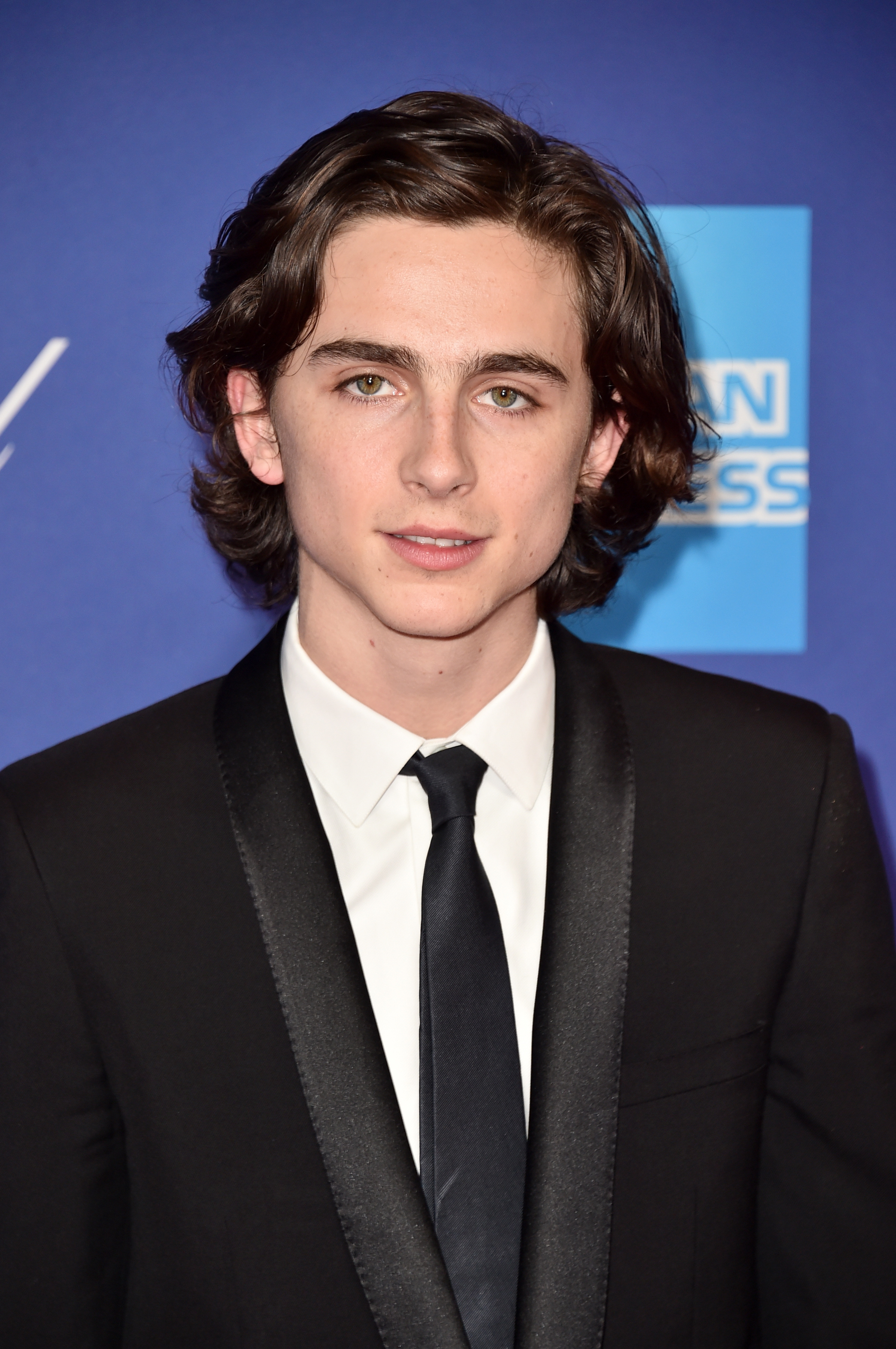 Timothee Chalamet From Interstellar To Little Women Access