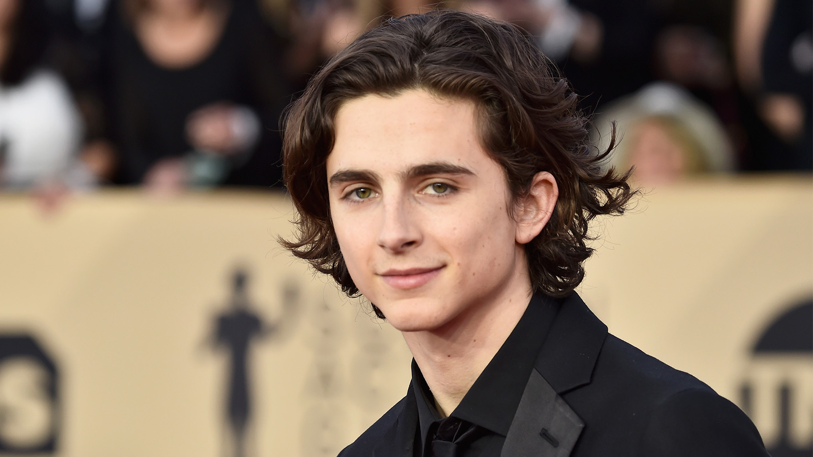 Timothée Chalamet Got Caught Reading At The 2019 SAG Awards And People