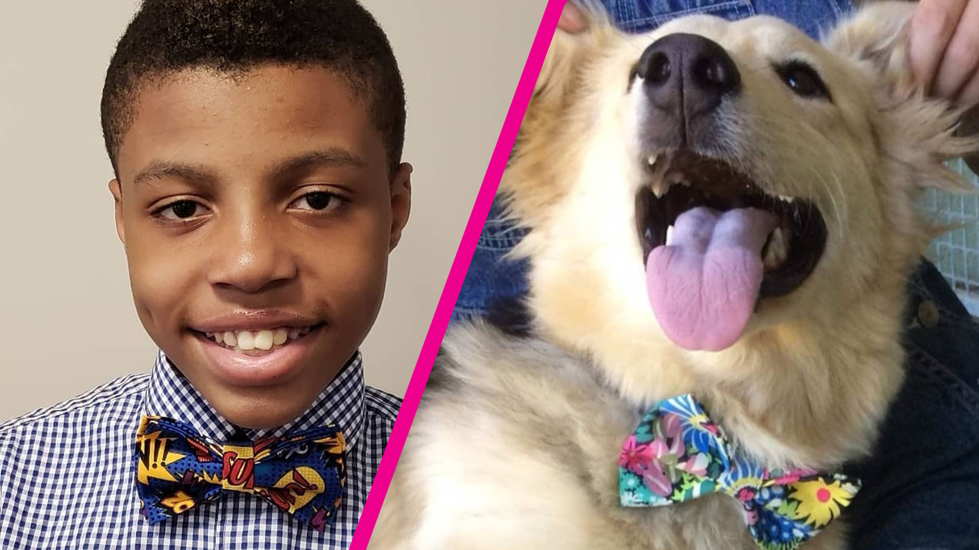 12YearOld Boy Makes Custom Bow Ties To Help Shelter Dogs Get Adopted