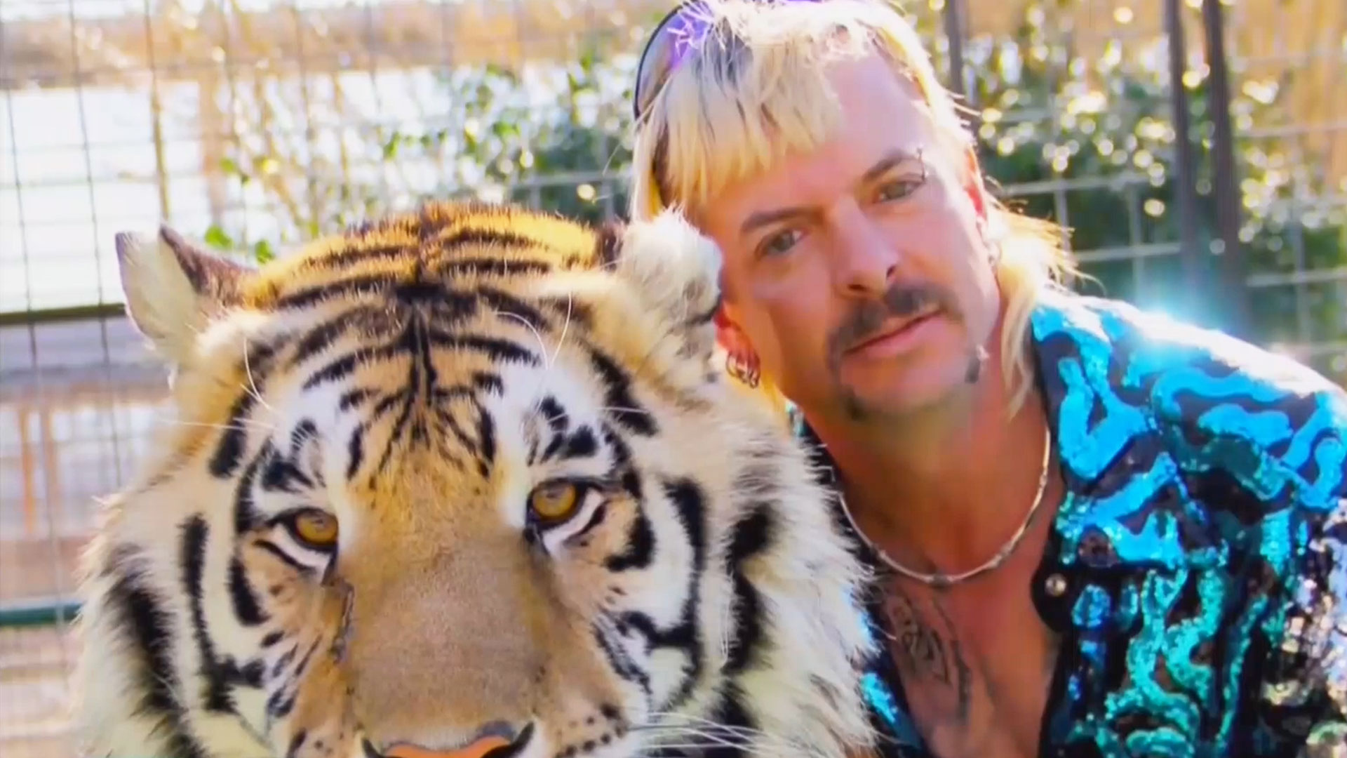 What's Next For 'Tiger King' Star Joe Exotic? What's Next For 'Tiger King' Star Joe Exotic?