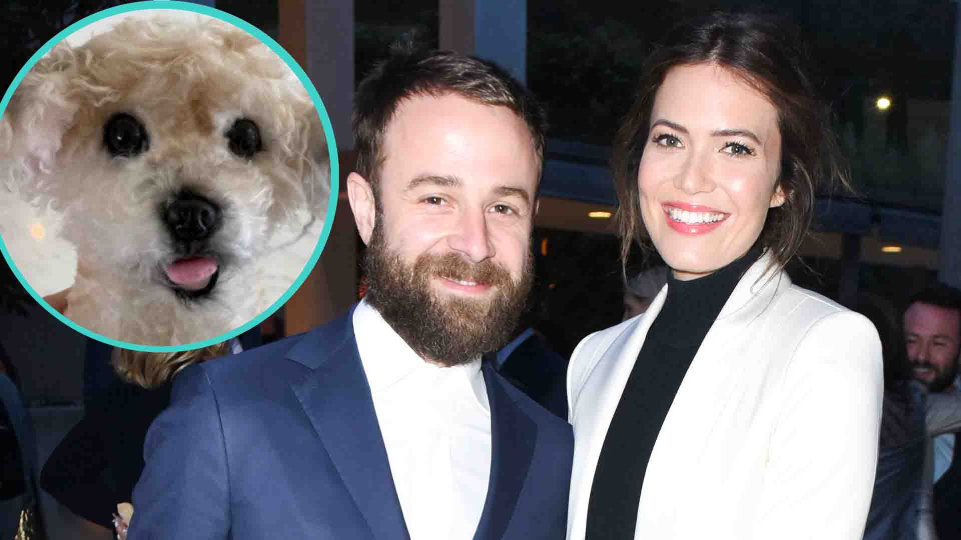 Mandy Moore Gets Replica Of Her Late Dog Joni From Husband Taylor(02)