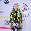 2017 American Music Awards - Arrivals