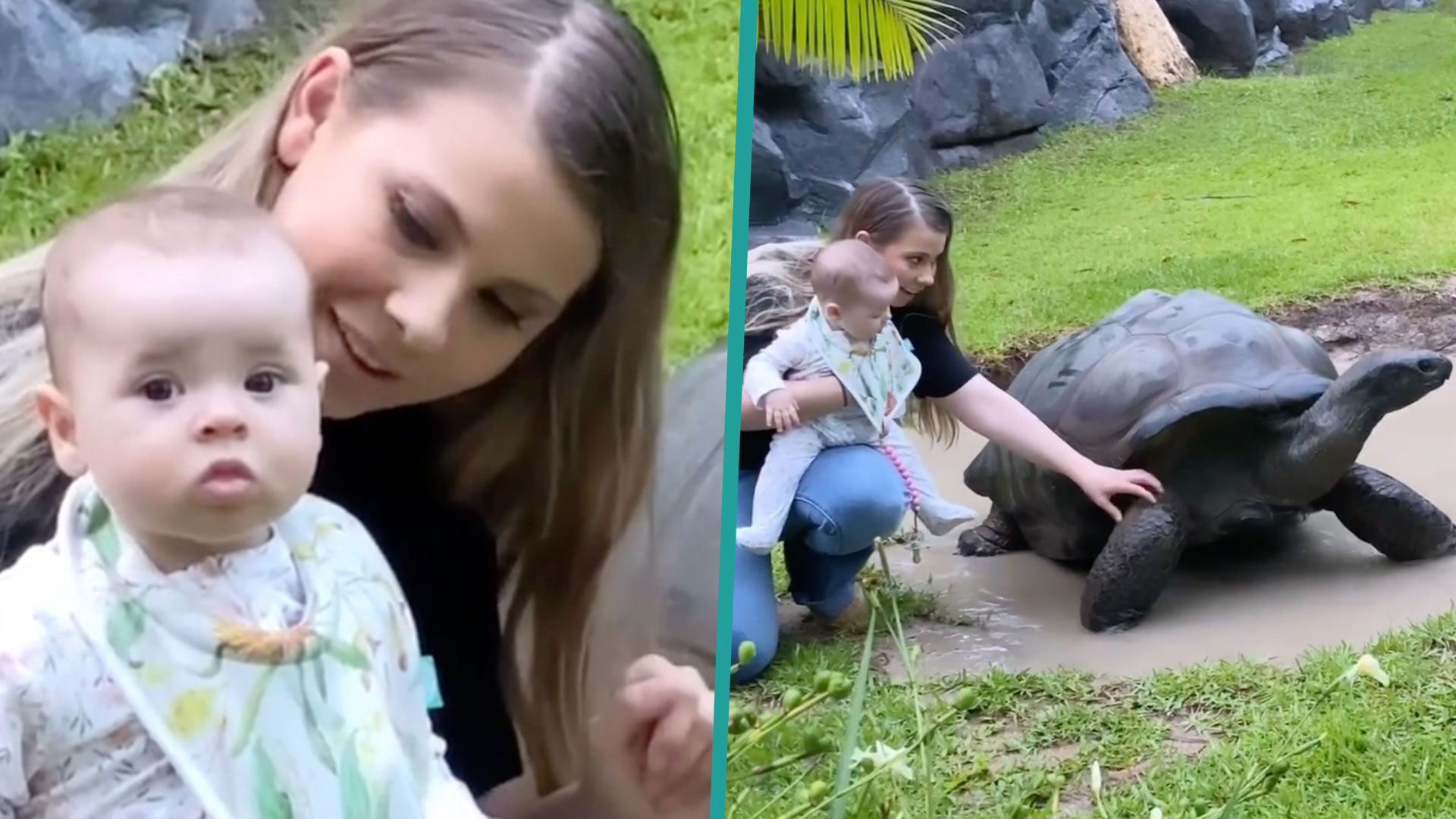 Bindi Irwin's Daughter Grace Warrior Meets Tortoise She's 'Fascinated(02)