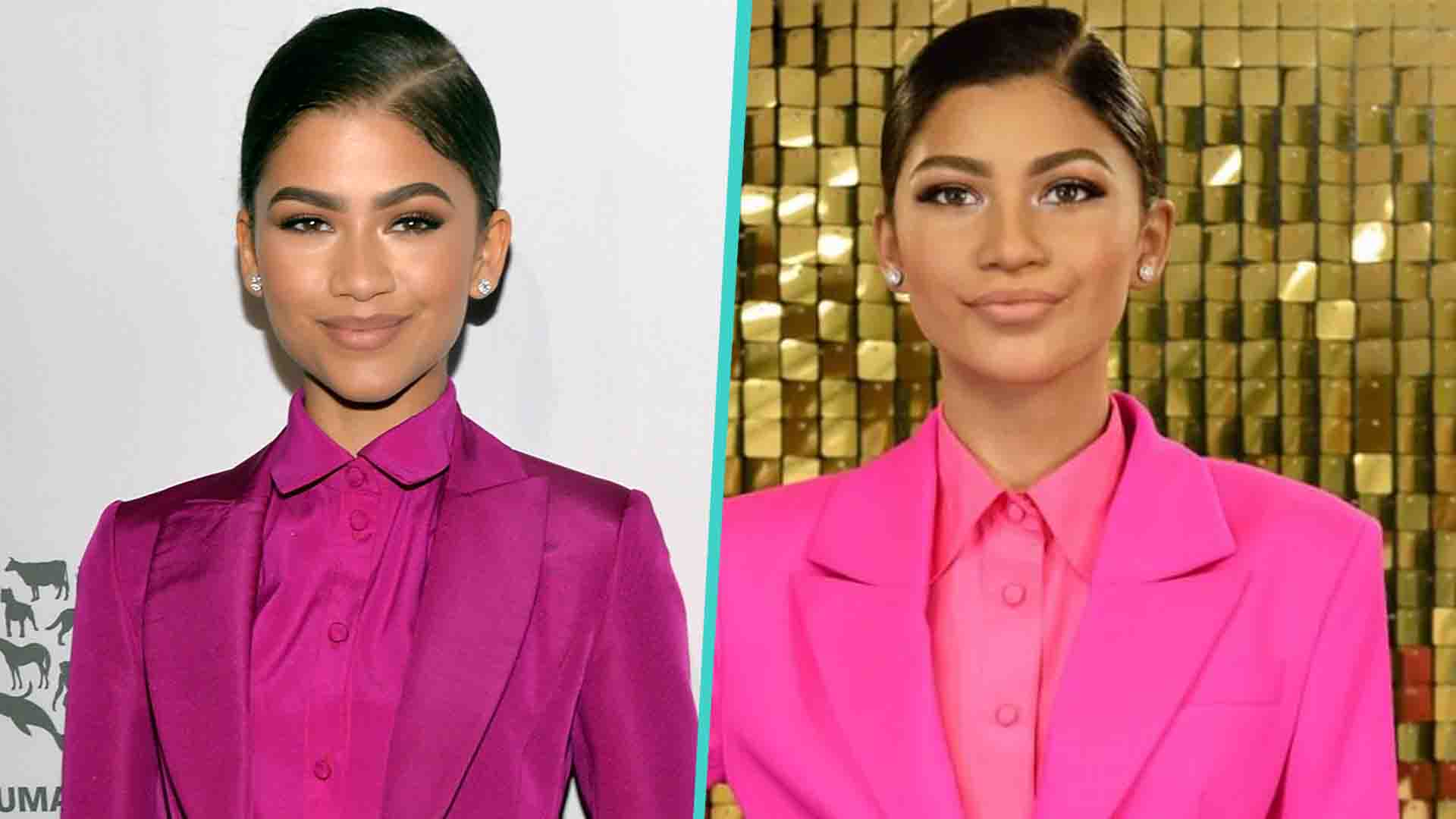 Zendaya's New Madame Tussauds Wax Figure Met With Mixed Reviews | Access