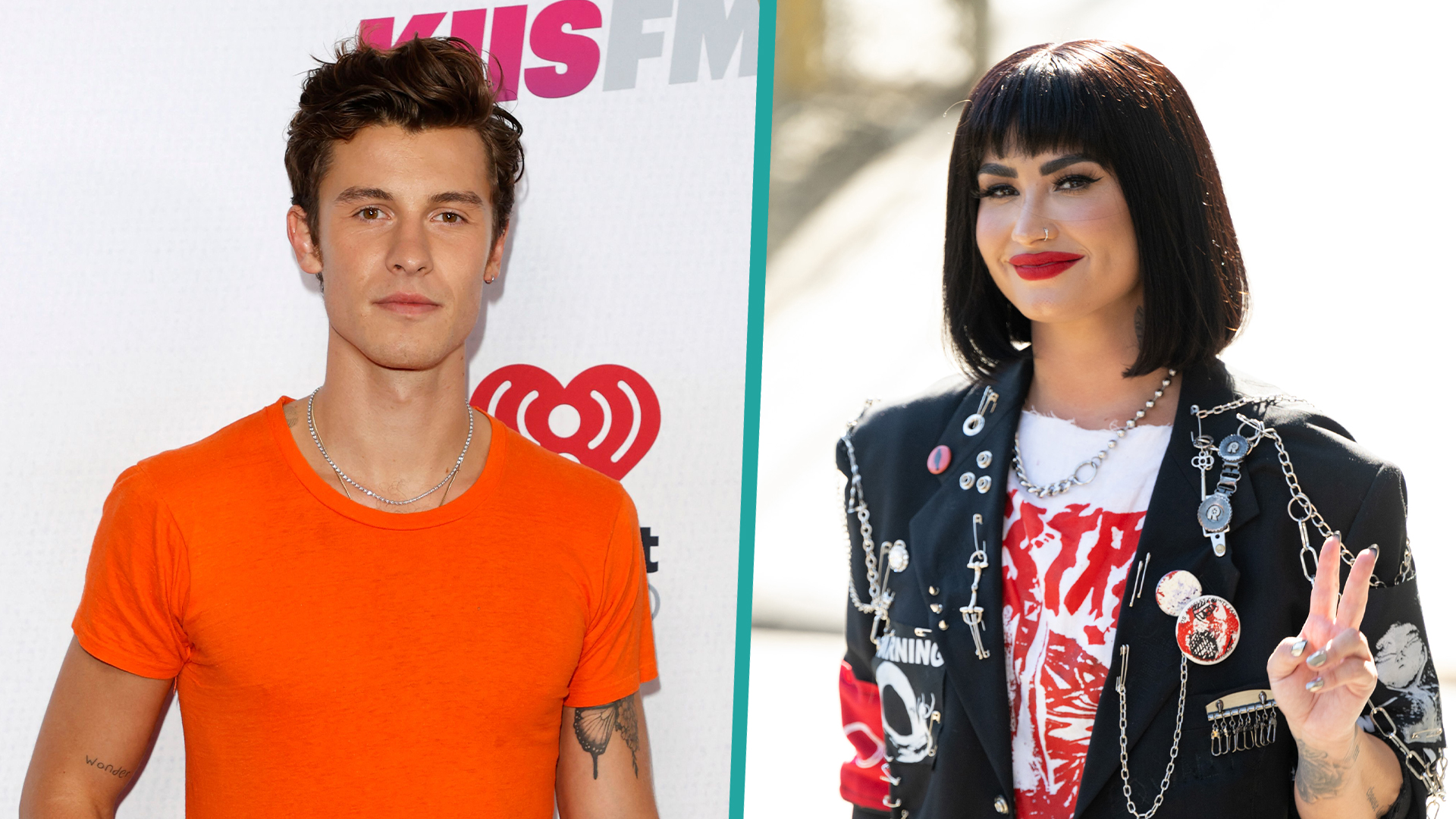 Demi Lovato's 'Heart Goes Out' To Shawn Mendes After He Postpones Tour