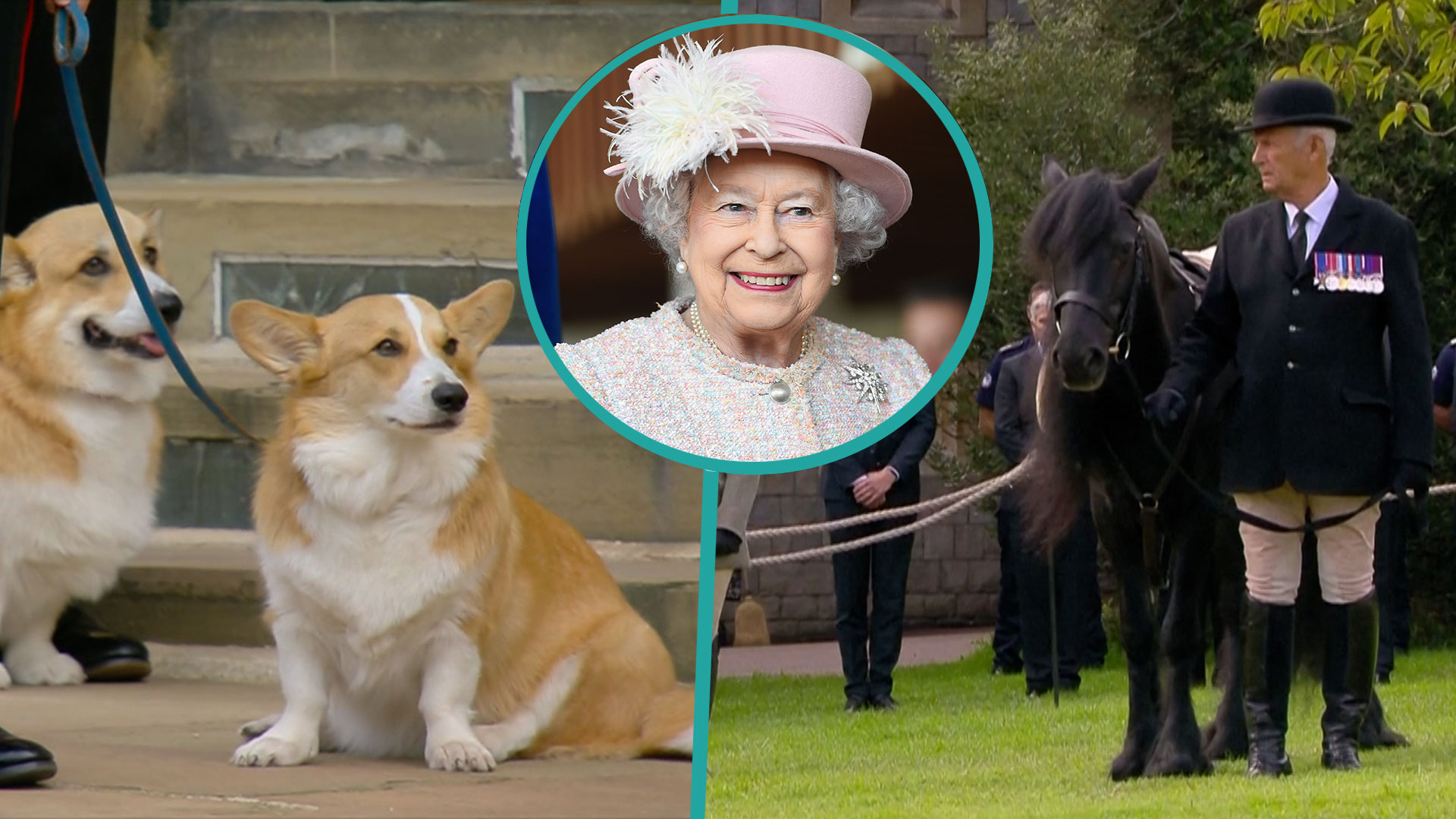 Queen Elizabeth's & Pony Eagerly Bid Final Farewell To Late