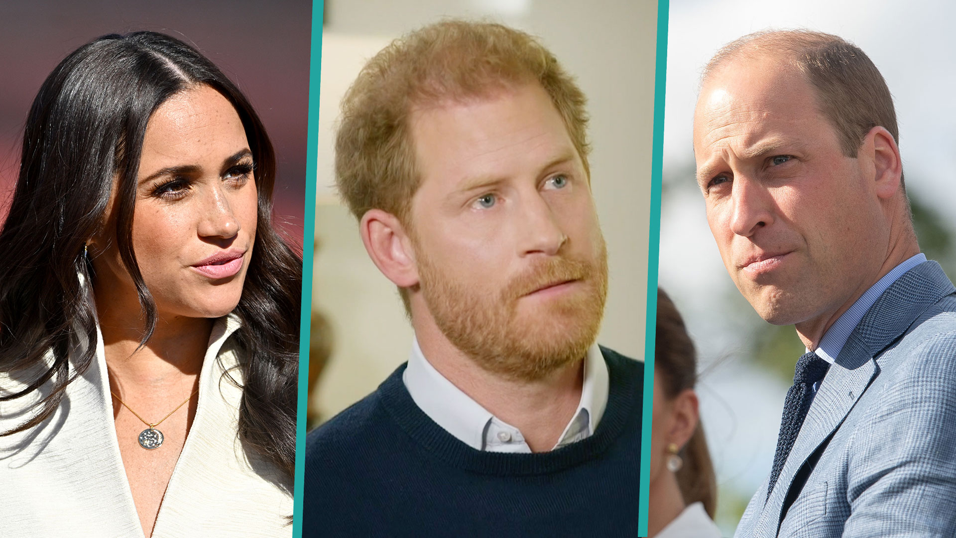 Prince Harry Says Prince William 'Aired Some Concerns' About Meghan