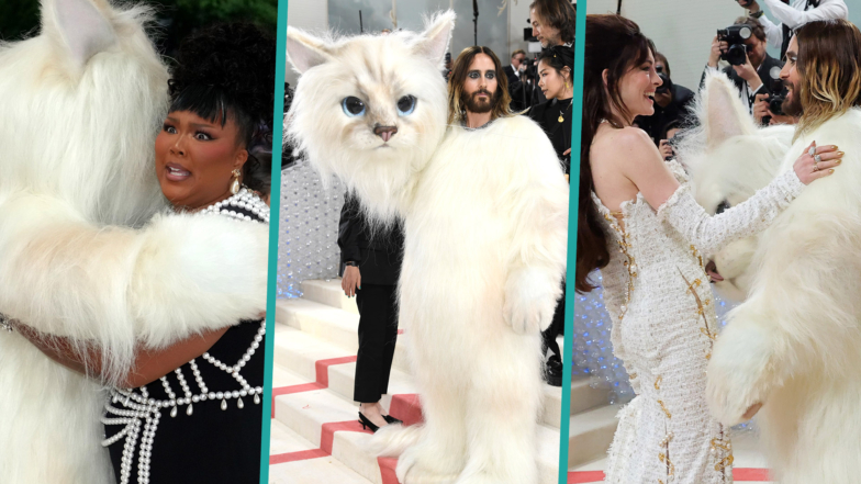 Lizzo, Anne Hathaway & More Celebrities Freak Out Seeing Jared Leto As a Cat at 2023 Met Gala