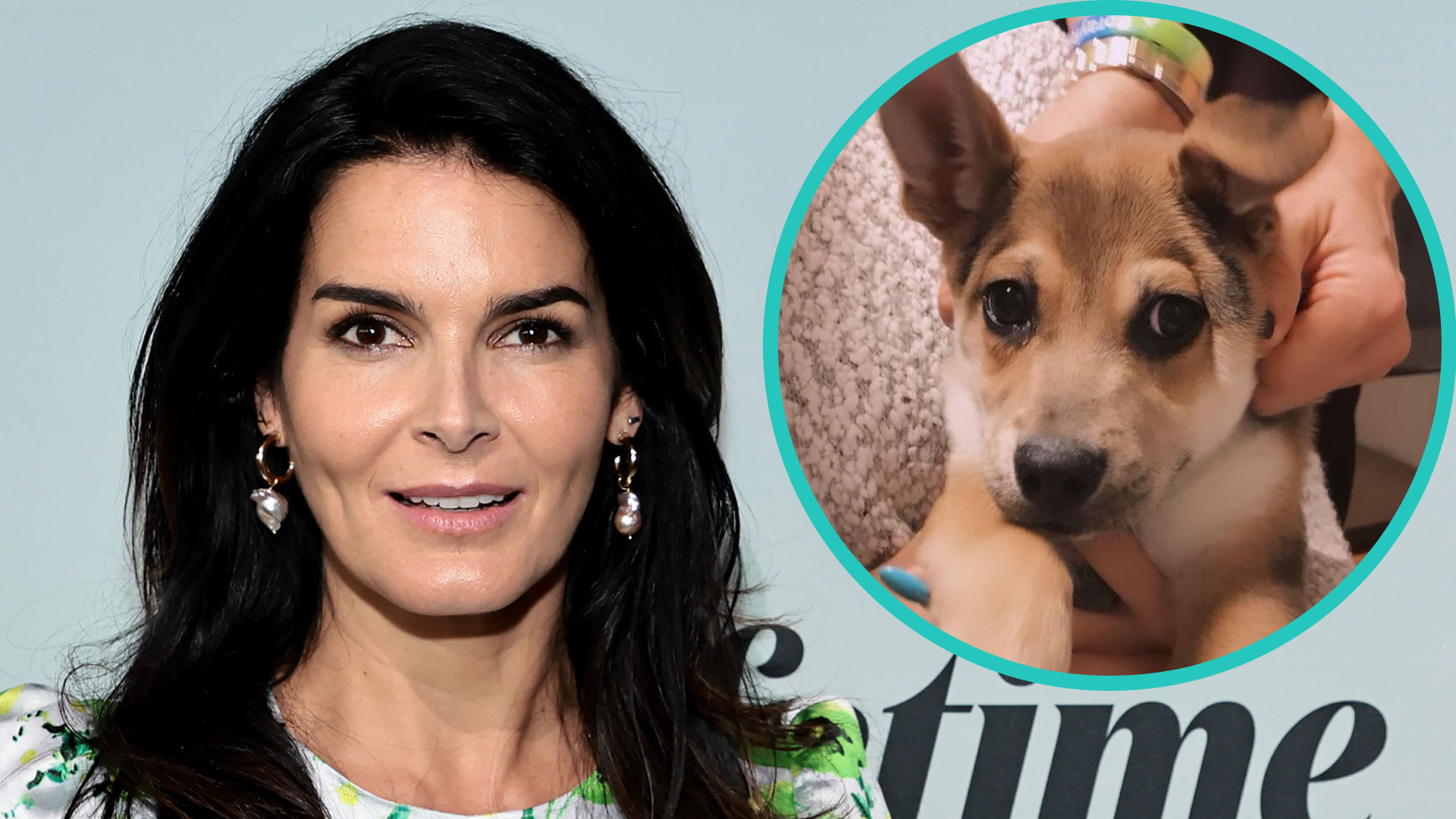 Angie Harmon Reveals Instacart Driver Shot & Killed Her Dog During