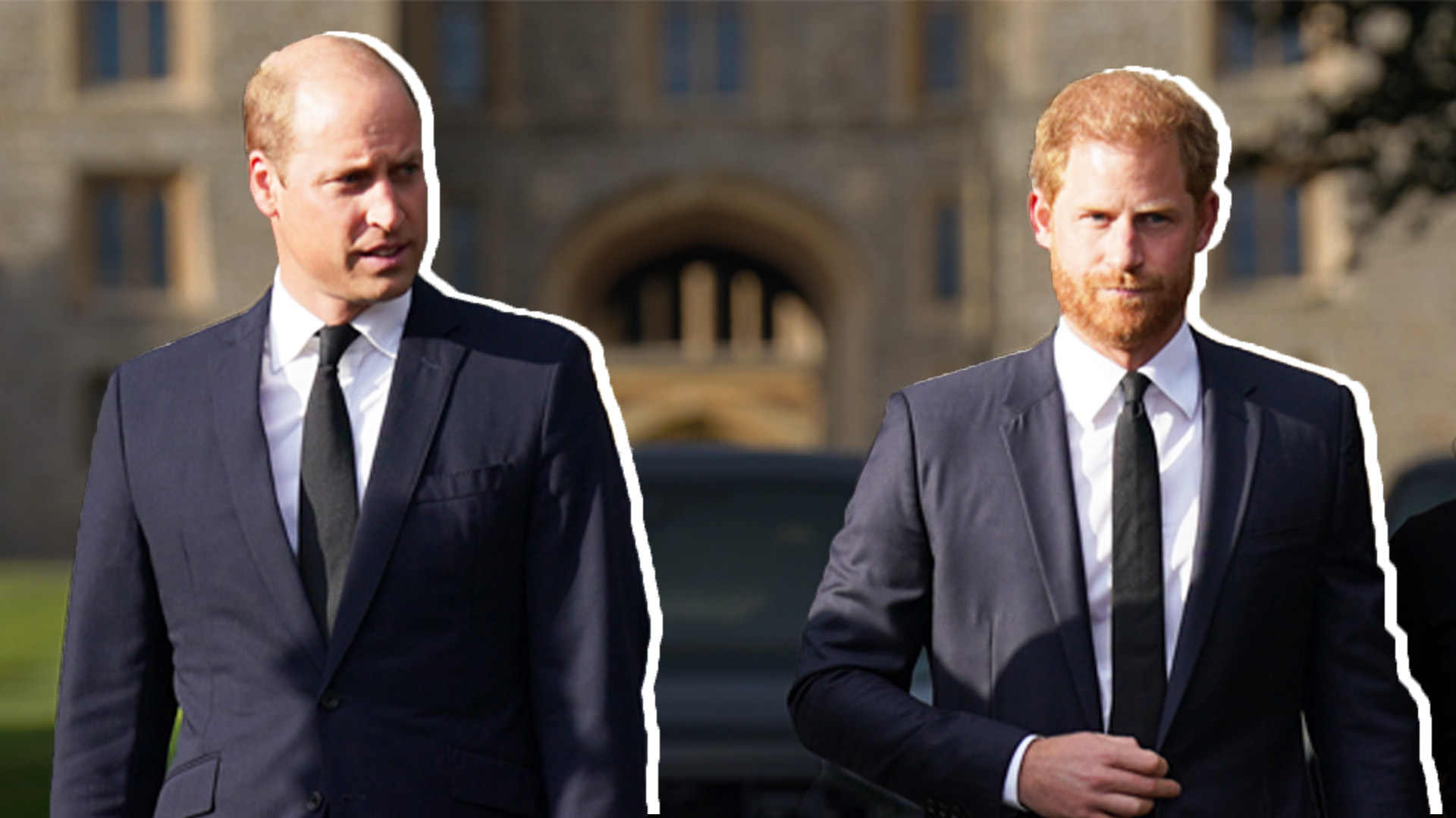 Prince William & Prince Harry's Popularity Which Royal Is Winning Over