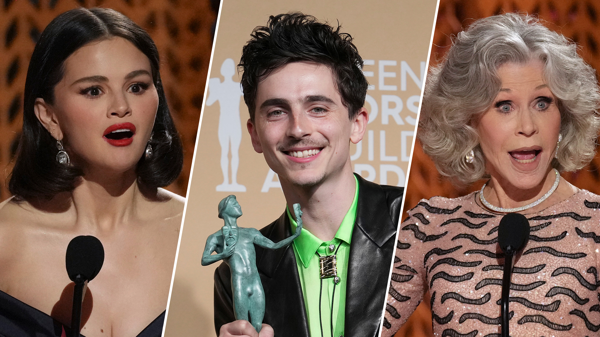 2025 SAG Awards Top Moments Timothée Chalamet, Selena Gomez, Jane