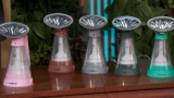 Shop Handheld Fabric Steamers, Diamond Studs & More On Gilt.com This Week!