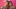 Francia Raisa Speaks Out About Selena Gomez's Wedding To Benny Blanco